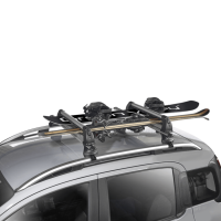 Green Valley Skiträger EASY SNOW RIDER – für 6 Paar Ski mit Schiebefunktion